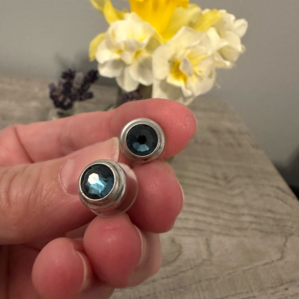 Alex and Ani Silver and Blue Stud Earrings